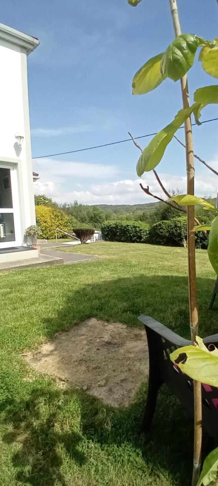 Villa Realt Na Mara à Killybegs Extérieur photo